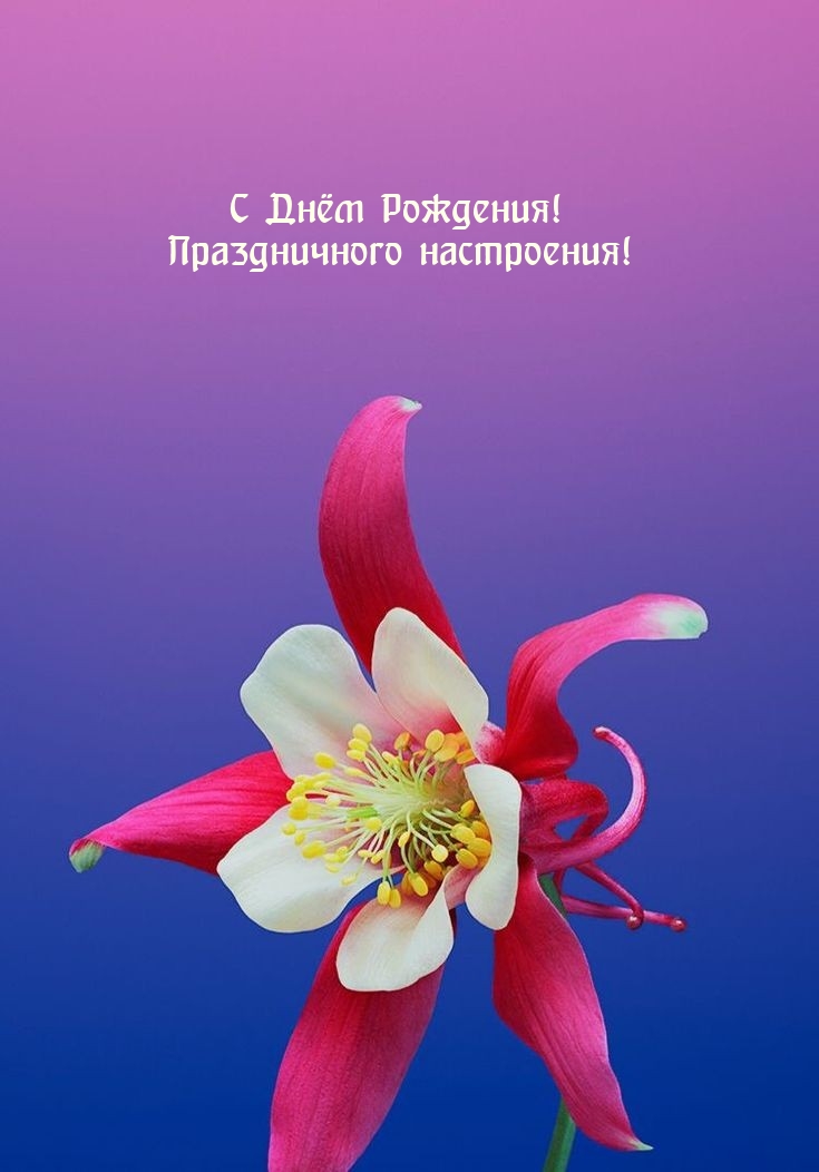 С Днём Рождения! Праздничного настроения! 